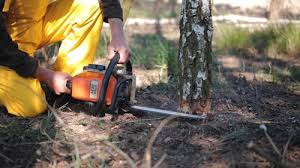 Best Arborist Consultation Services  in Mount Union, PA