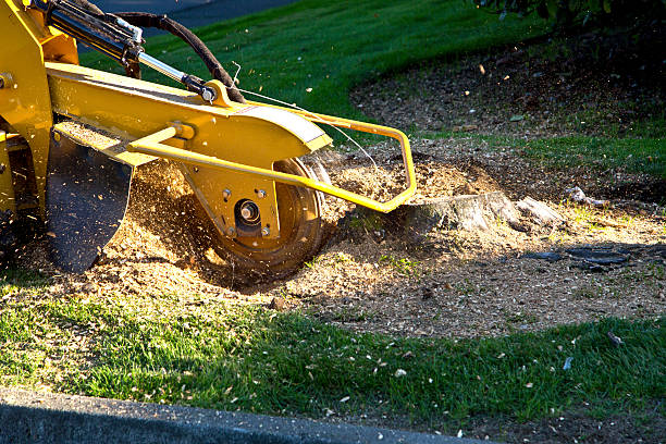 Best Aeration Services  in Mount Union, PA